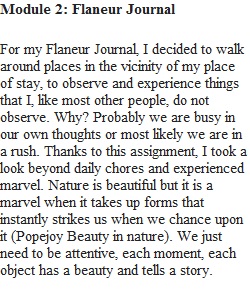 Flâneur Journal